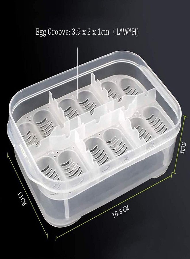Still Awake Reptile Egg Incubator Professional Hatcher Hatching Box Case Tray Plastic Breeding Incubator for Hatching Snake,Lizards, Reptiles,Gecko(12 Slots with Thermometer) - Image 2